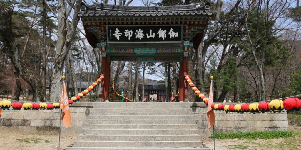 tourists exploring South Korea